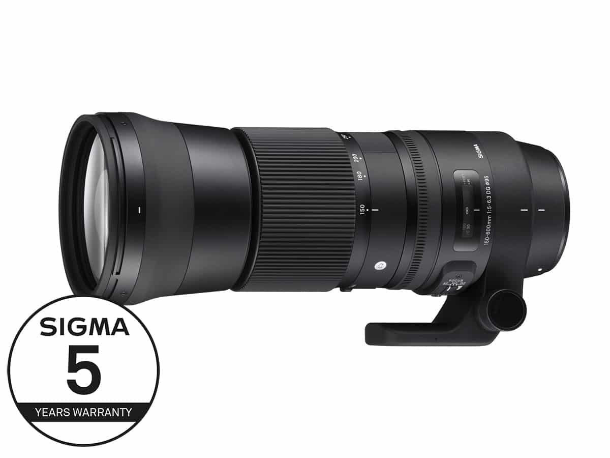 Sigma 150-600mm F5-6.3 DG OS HSM | Contemporary – Nikon